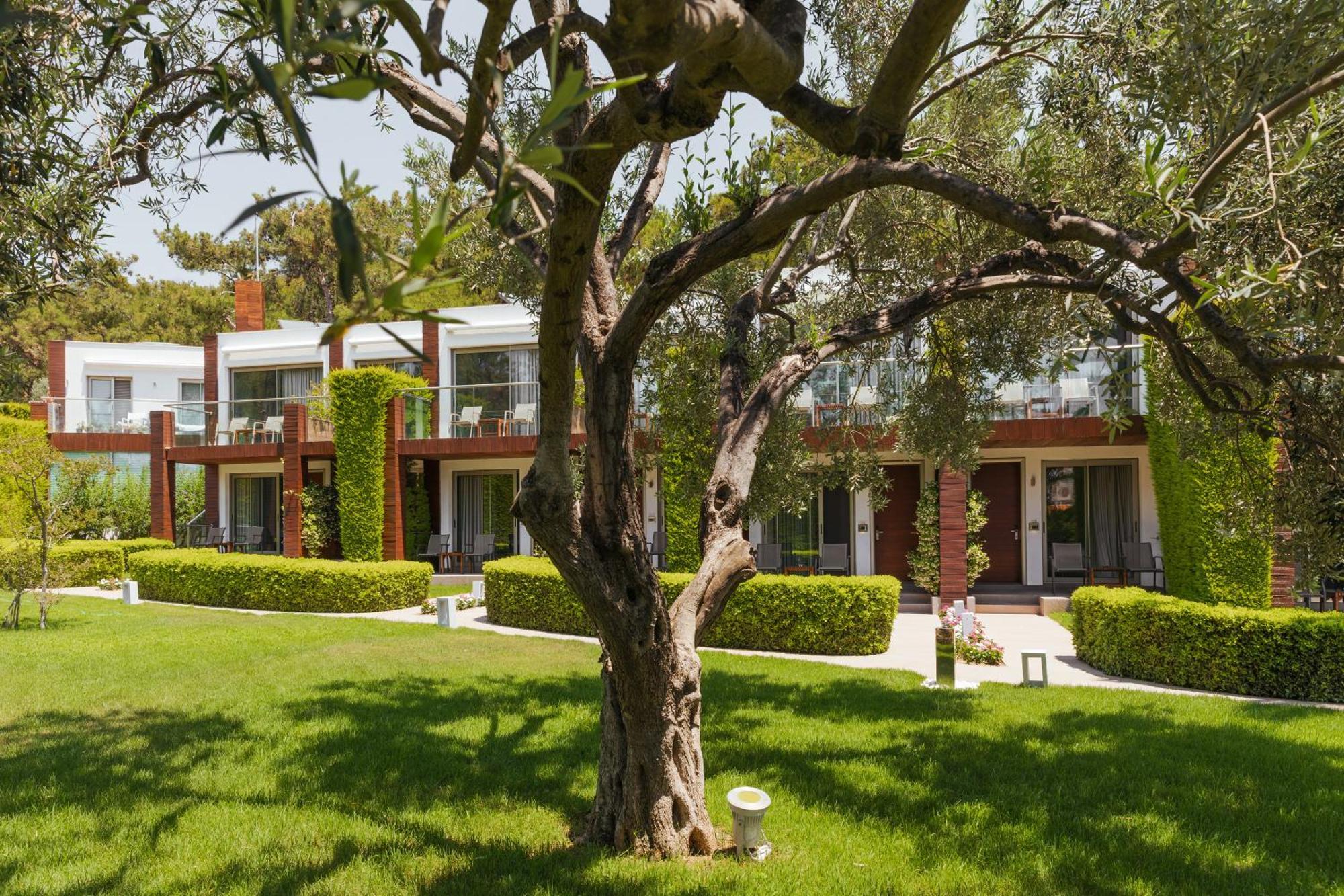 Ortunc Hotel - Cunda Island (Adults Only) Ayvalik Exterior photo